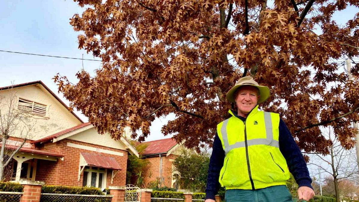 Tree Planning & Management Supervisor, Jim Dunn, with one of the first trial Scarlet Oaks, Quercus coccinea, planted in Jackson Street