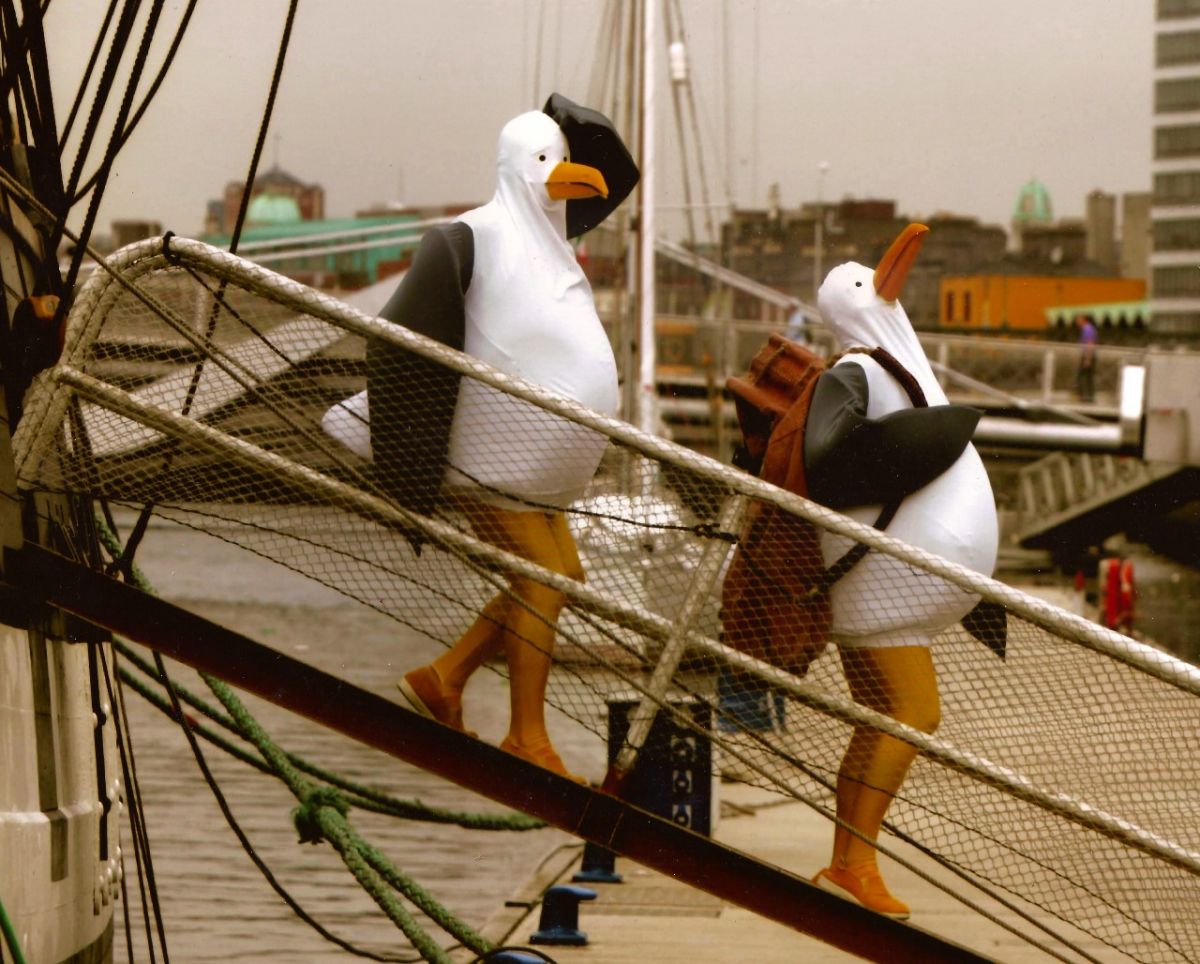 Two people in seagull suits walk down a gangplank