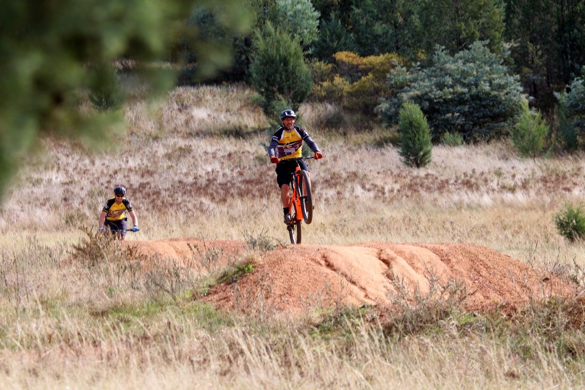 Two mountain bike riders on track