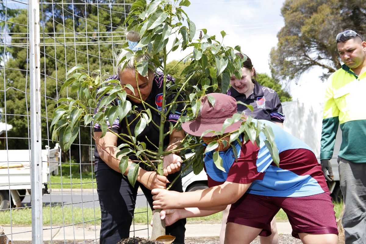 Indigenous woman, school students and council employee planting tree at Wilga Park