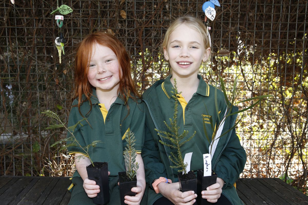 Two Kapooka Public School students Lilly and Pippa sitting on a wooden garden bench holding the seedlings given to them by Council. 