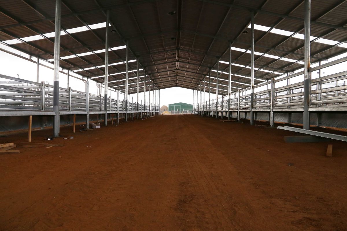 New calf shed under construction in July 2017