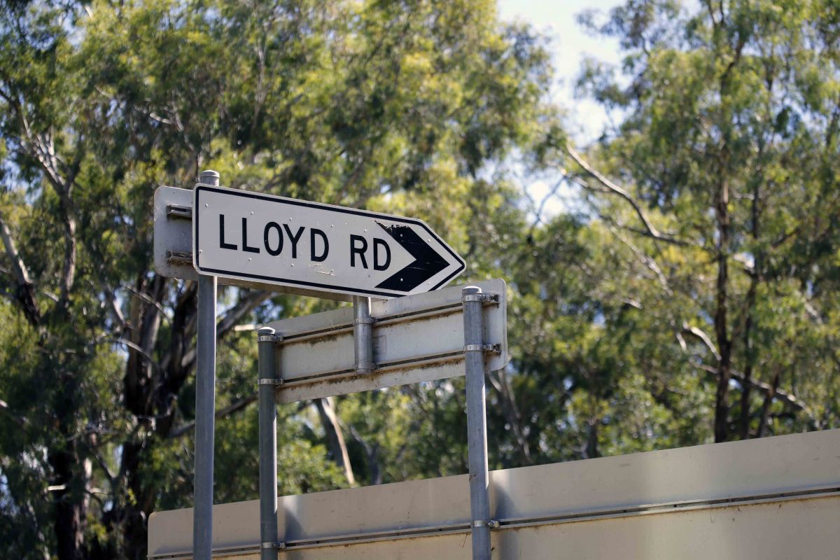 Lloyd Road road works, with traffic