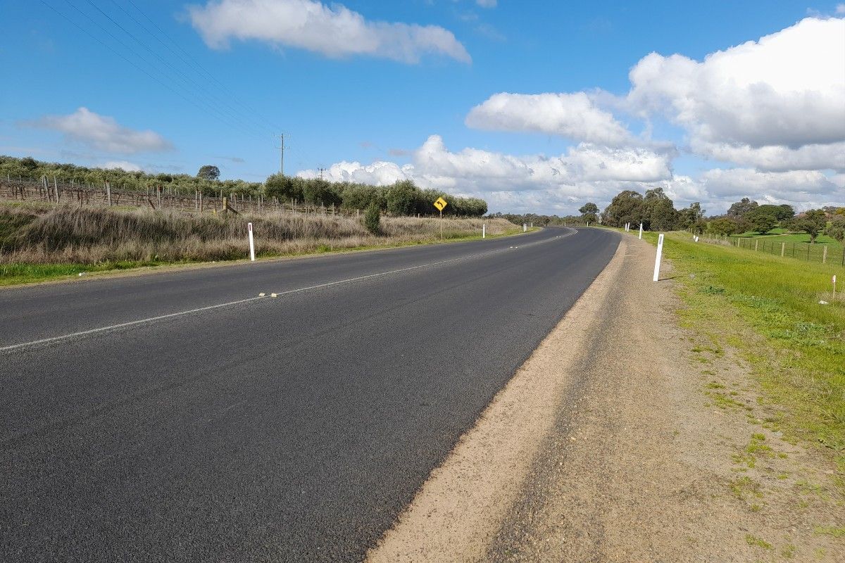Road curving around to the left with an olive grove on the left and paddock on the right.