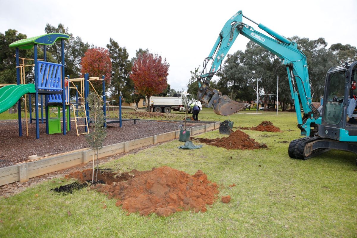 A digger assists planting of trees around a playground.
