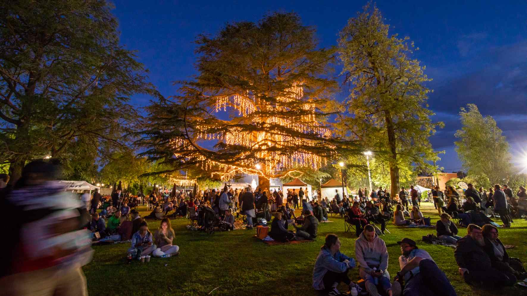 Fusion 2019 night shot of crowd