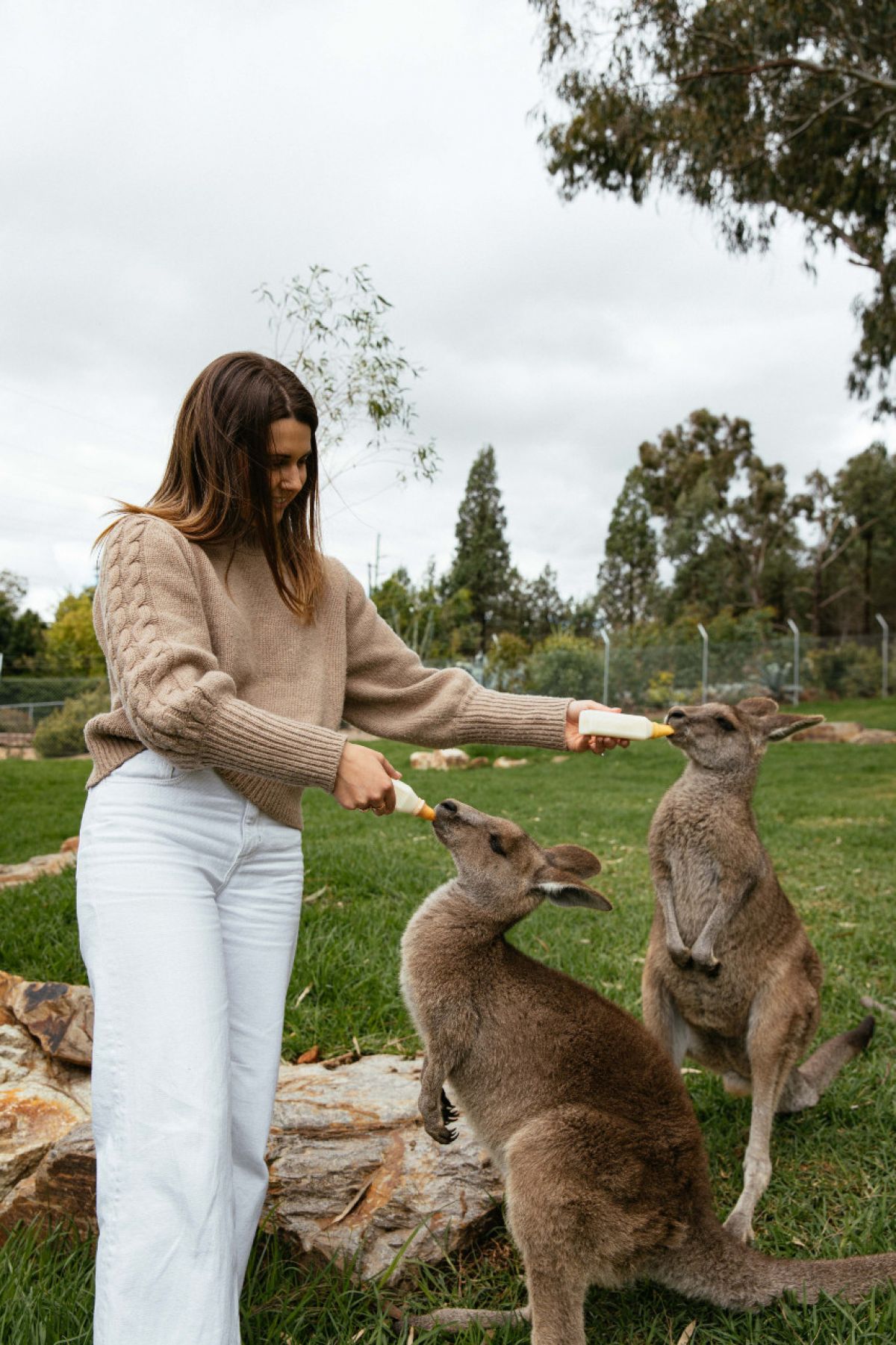 Woman bottle feeding two kangaroos.