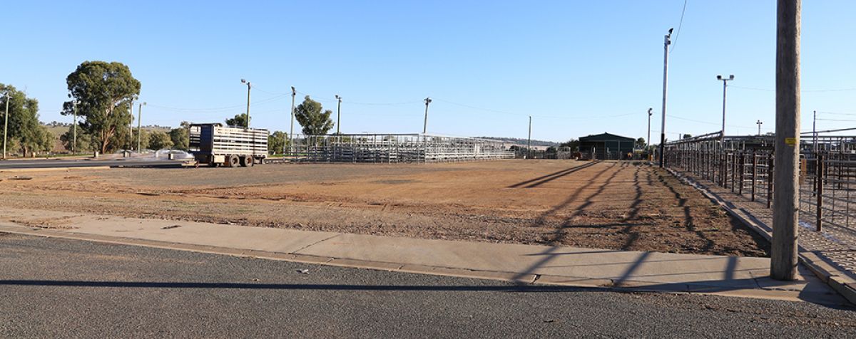 This site at the Livestock Marketing Centre will be the new location of an undercover calf shed and new loading ramp after works are carried out.
