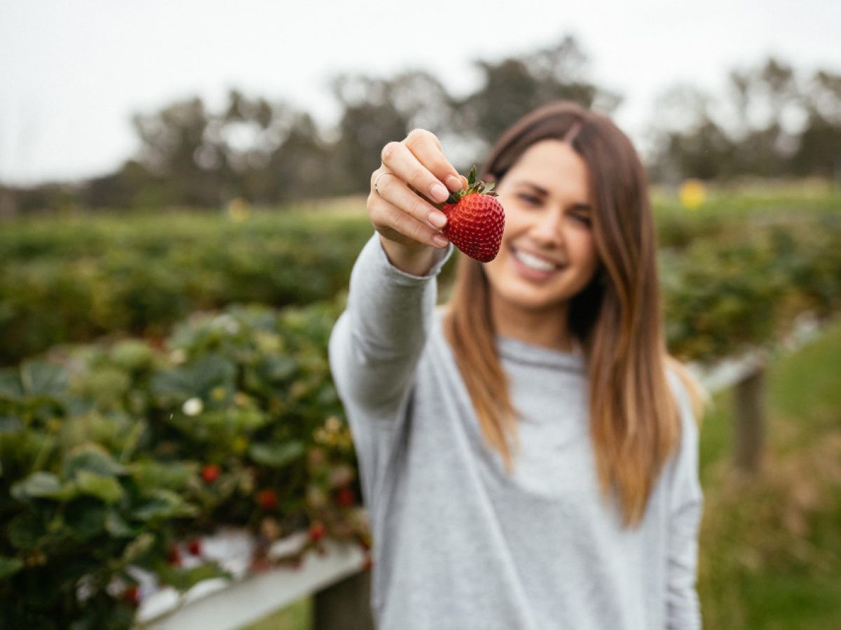 A woman holds out a freshly-picked strawberry at a strawberry farm