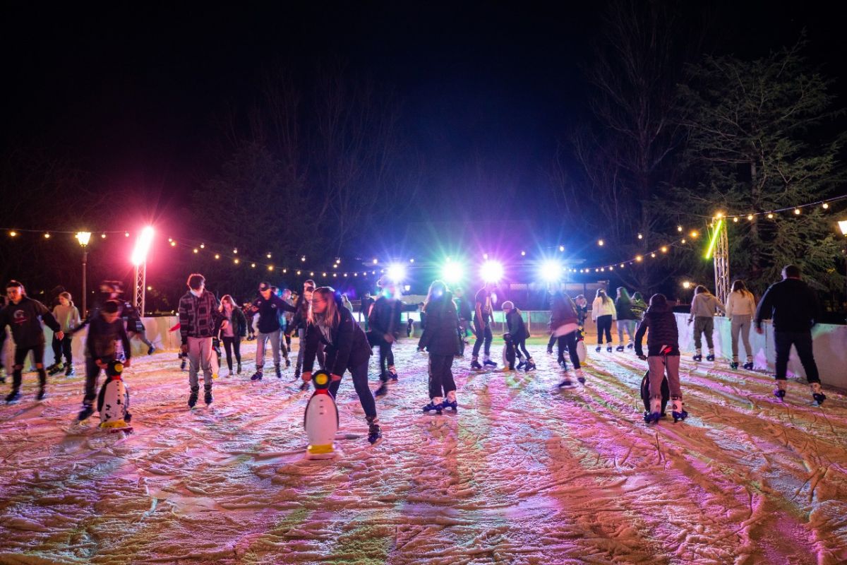 visit wagga ice skating