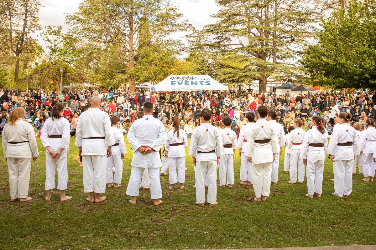 Martial arts display in Victory Memorial Gardens