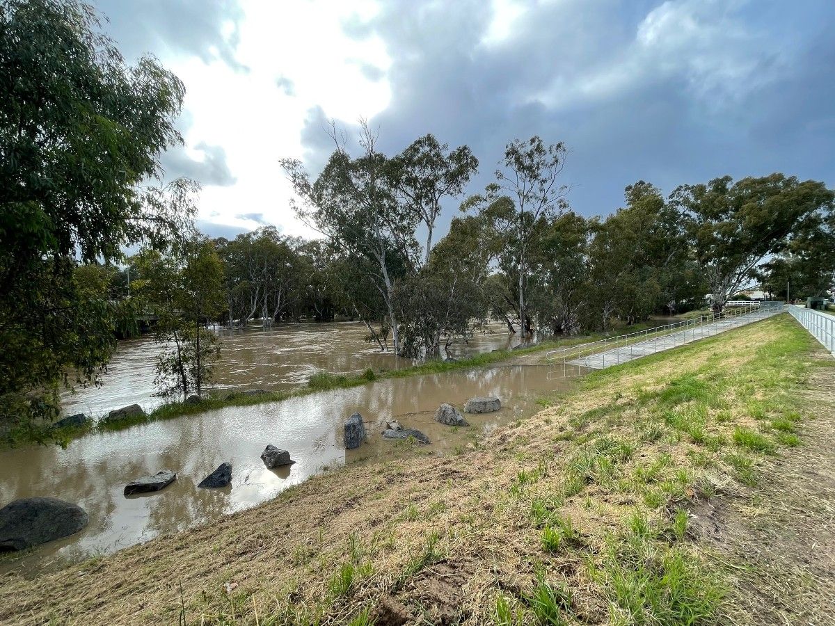 The flooded Murrumbidgee River breaking its banks across a concrete footpath