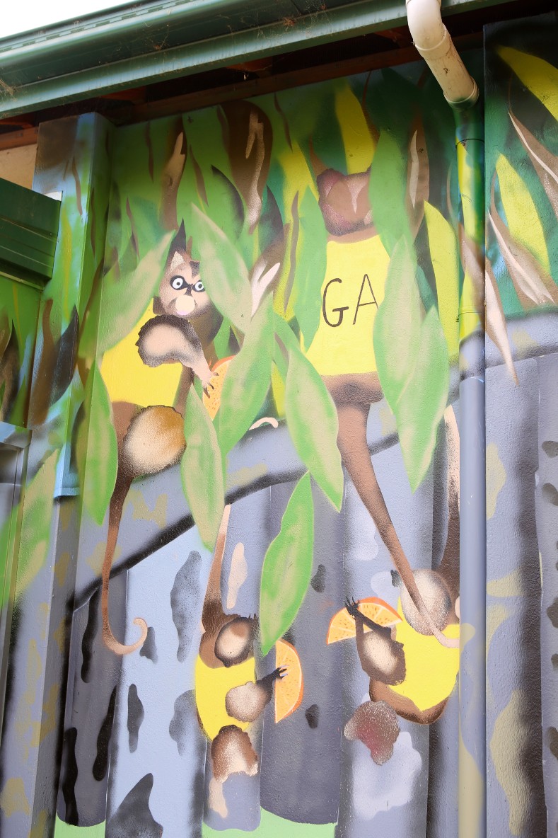 mural featuring possums playing netball on pump station wall