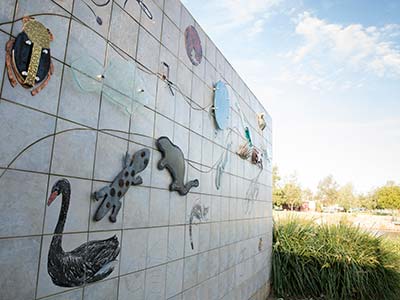 Where Lost History Lies