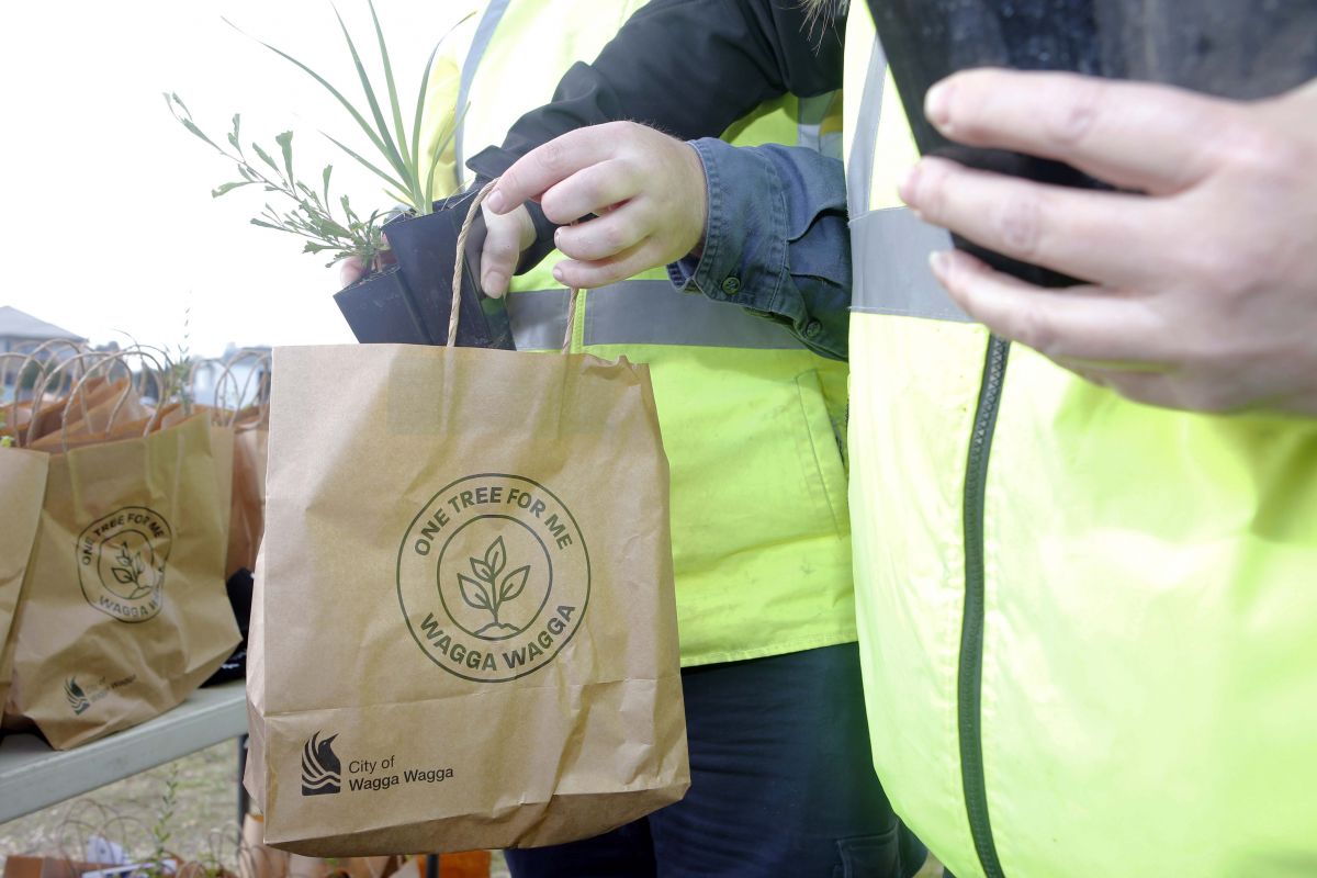 Close up view of hands holding paper bag and putting native seedling into the bag