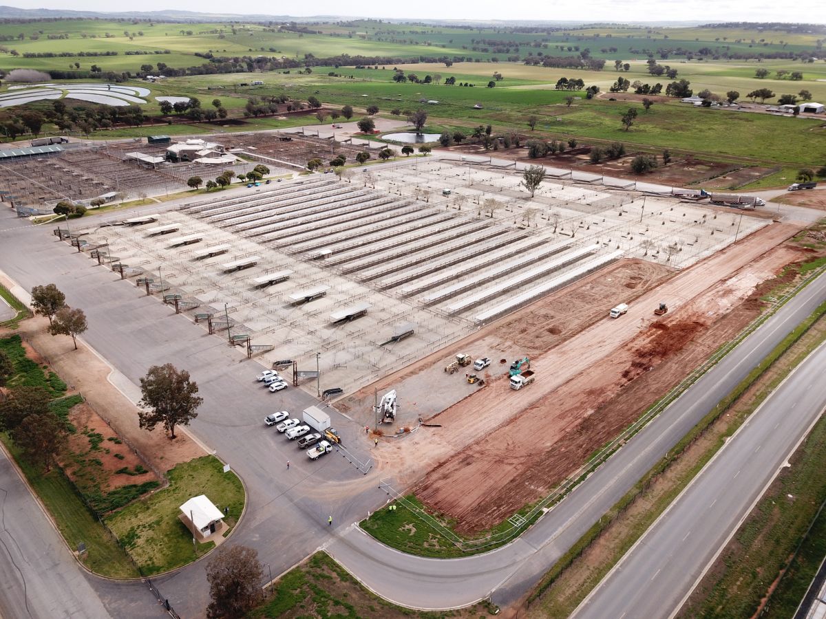 Livestock Marketing Centre Upgrade Project