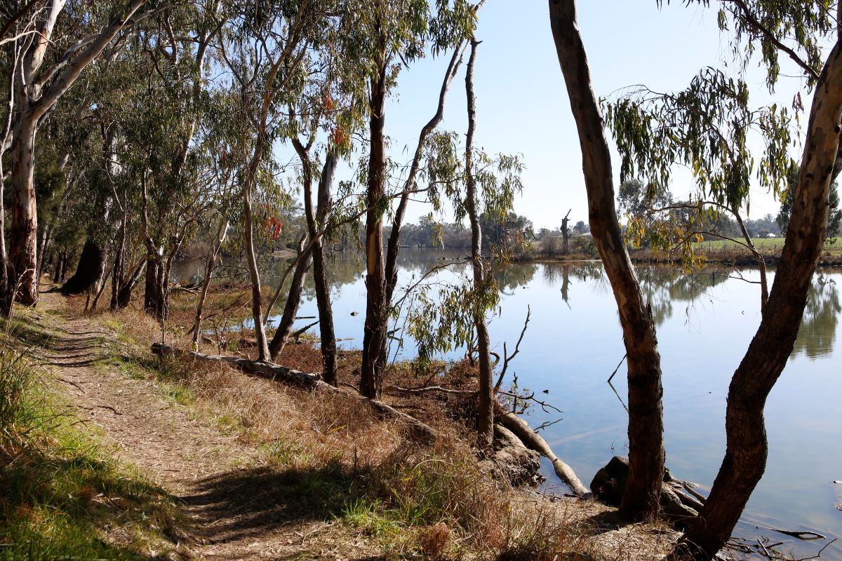 A natural lagoon