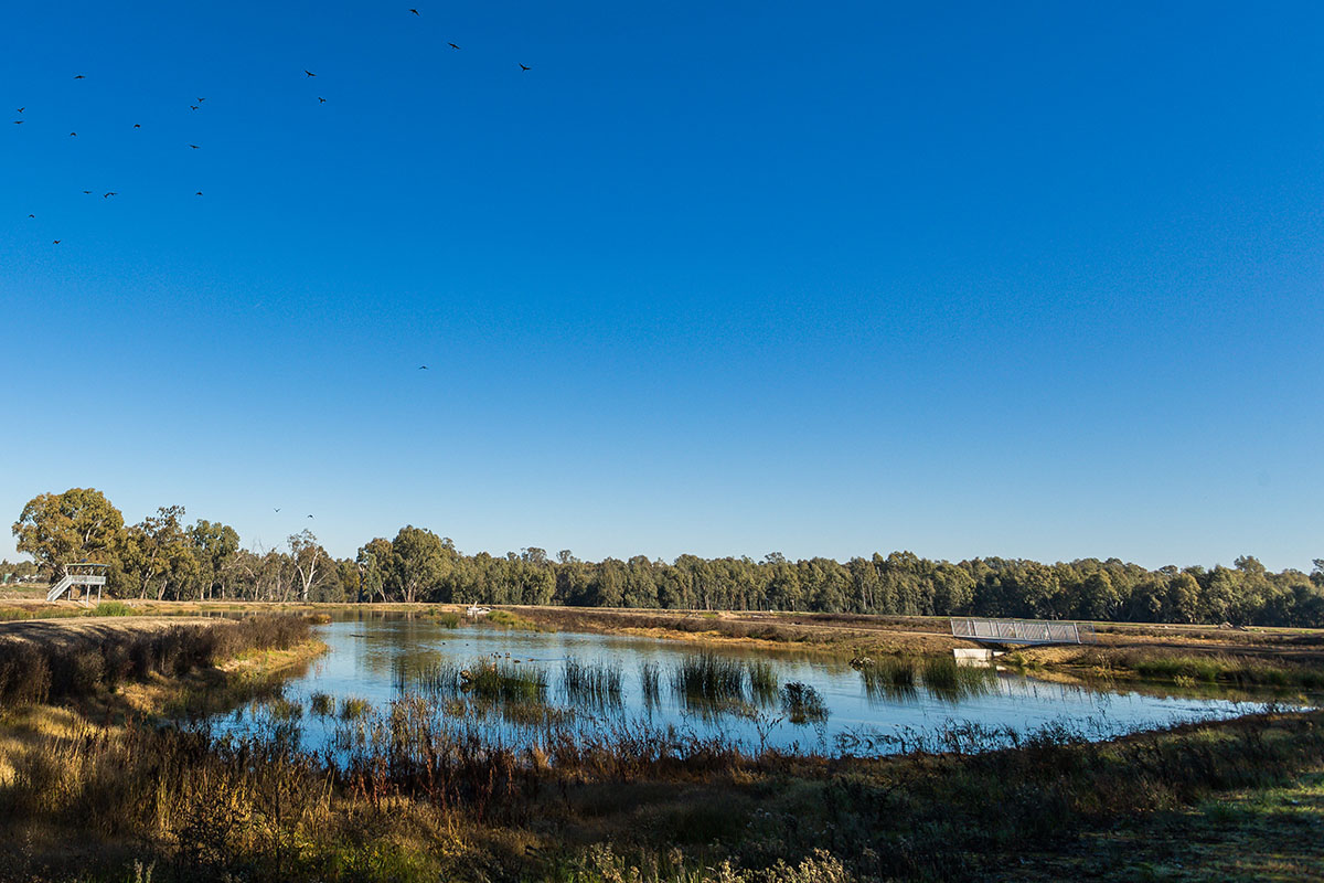 Marrambidya Wetland