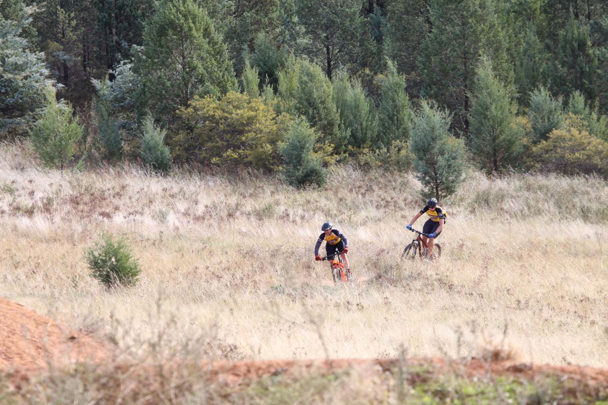 A reserve with high grasses. Bike riders are riding through the clearing